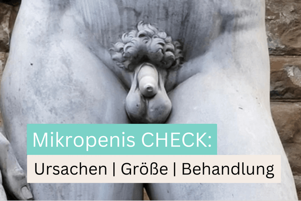 Mikropenis CHECK: Bilder, Ursachen,  Größe & Behandlungen